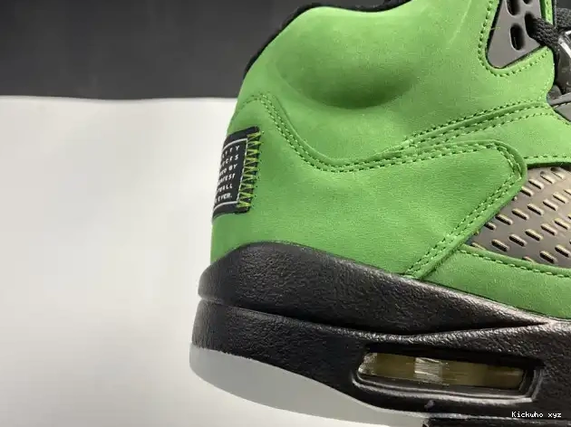Oregon CK6631-307 SE Ducks 5 Air Jordan 0515